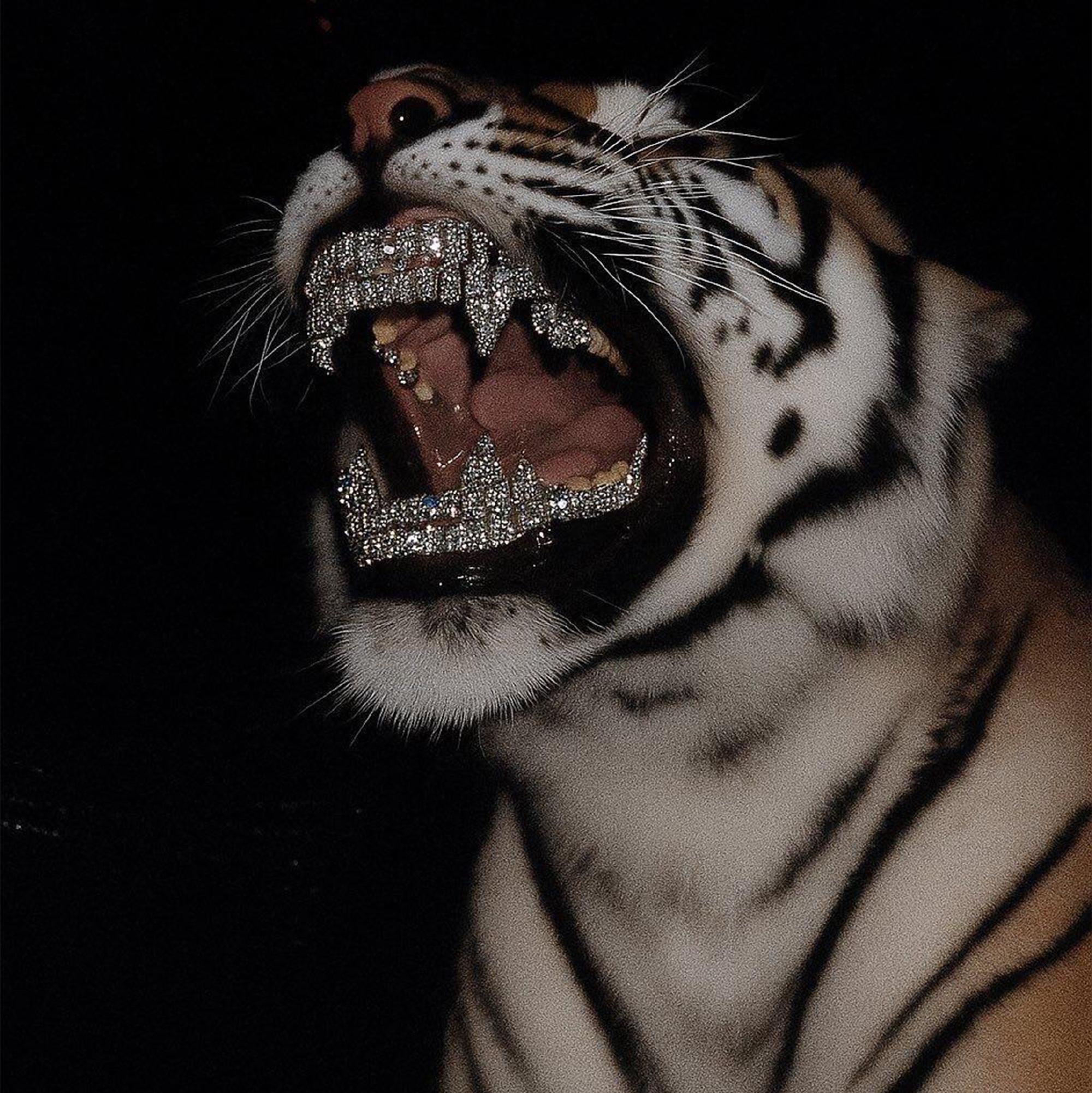 升起车窗  上高速