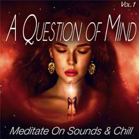 A Question of Mind, Vol.1 - Meditate on Sounds & Chill