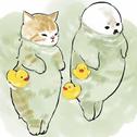卧室专用 | 可以邀请你和我跳一支慢舞吗？