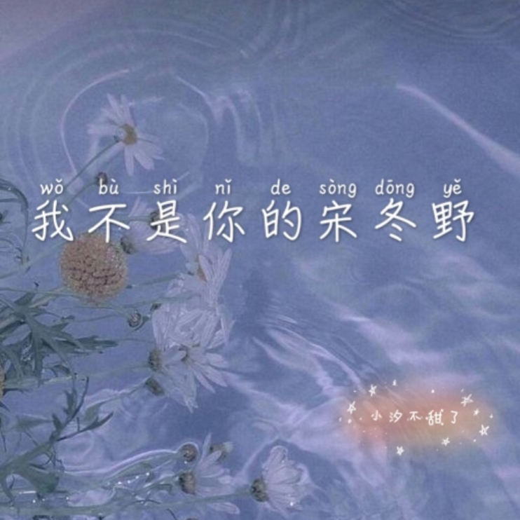 我不是你的宋冬野(女生版)封面