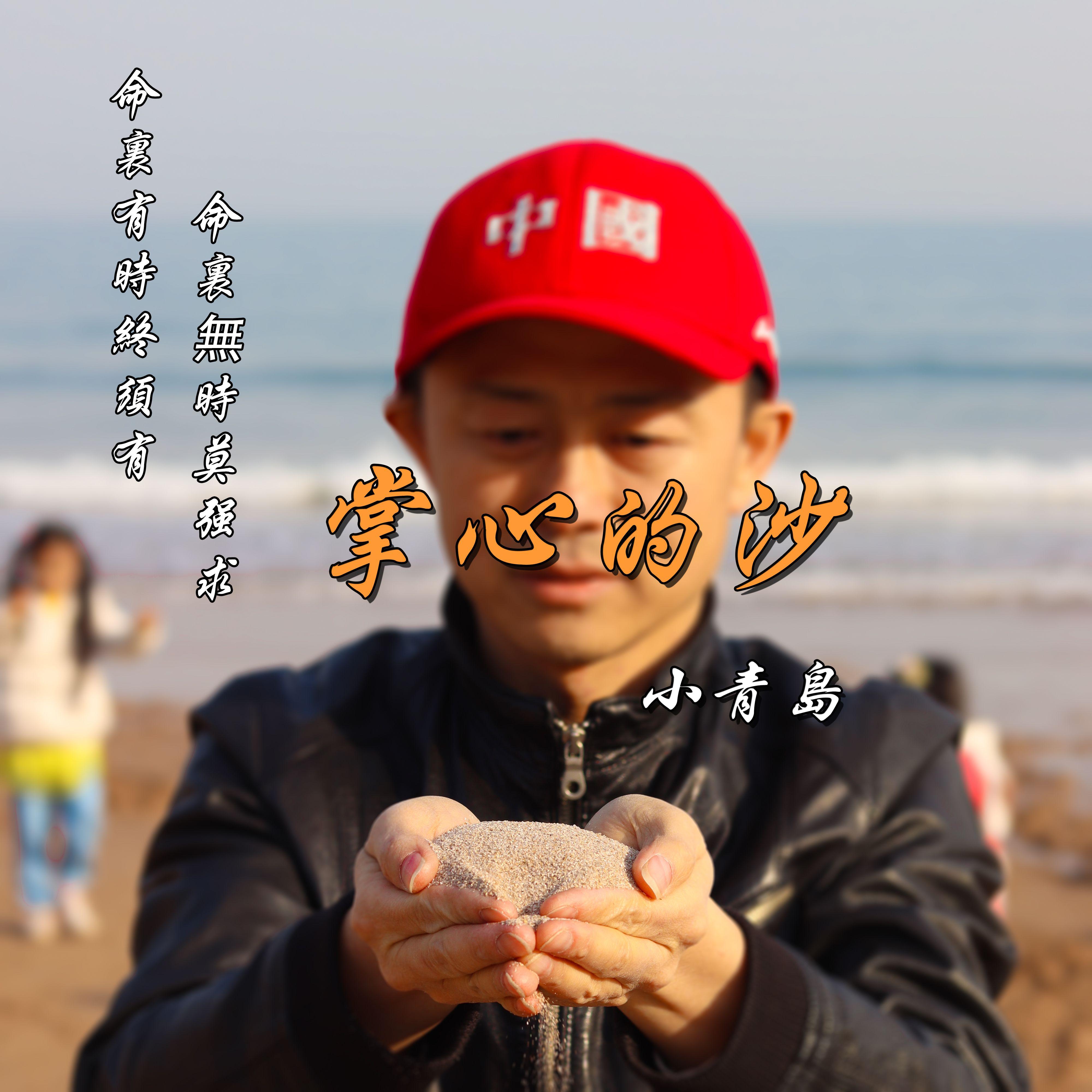 掌心的沙封面