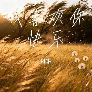 我喜欢你快乐 (Remix)封面