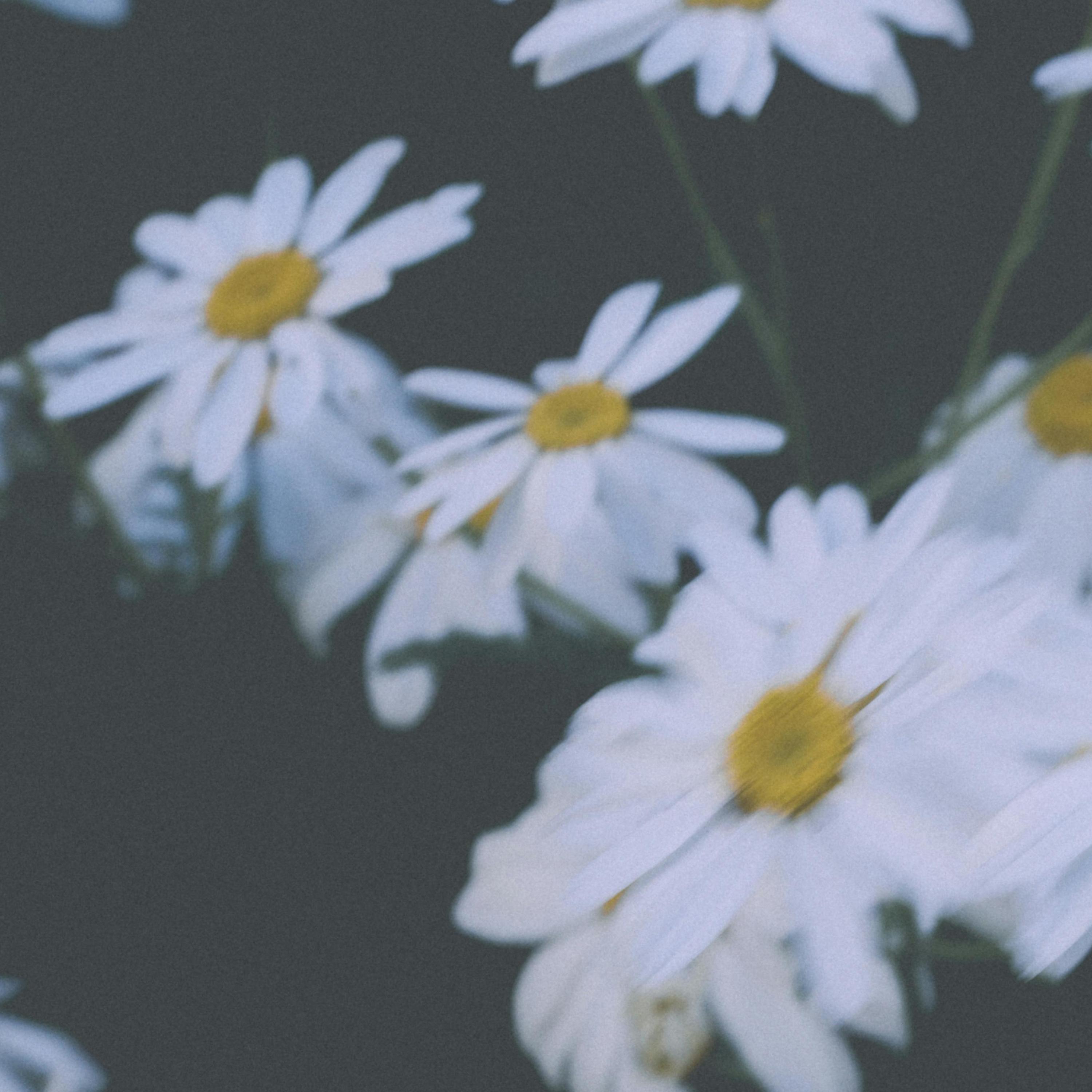 I Thought I Saw Your Face Today - Piano (Rain)