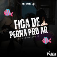 FICA DE PERNA PRO AR (feat. Mc Jamaica Jl)