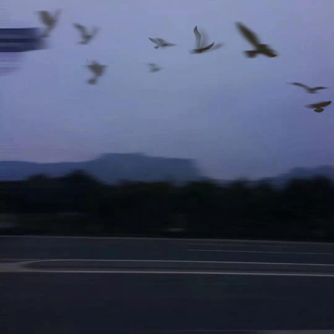 ハレハレヤ（郎朗晴天）