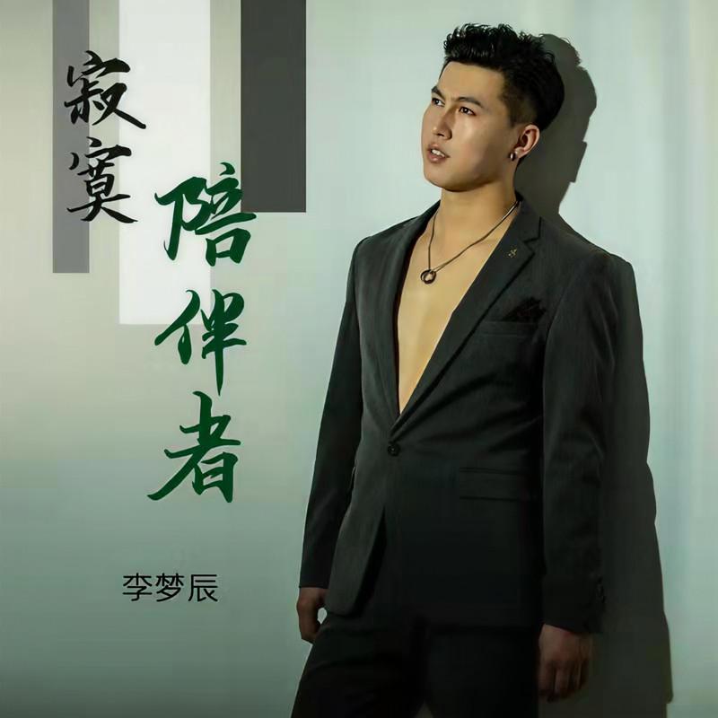 寂寞陪伴者 (DJheap九天伴奏) - 李梦辰封面