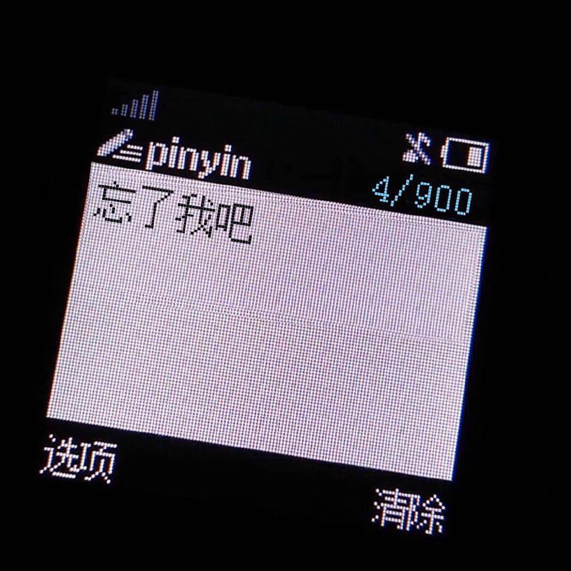 随风所欲封面