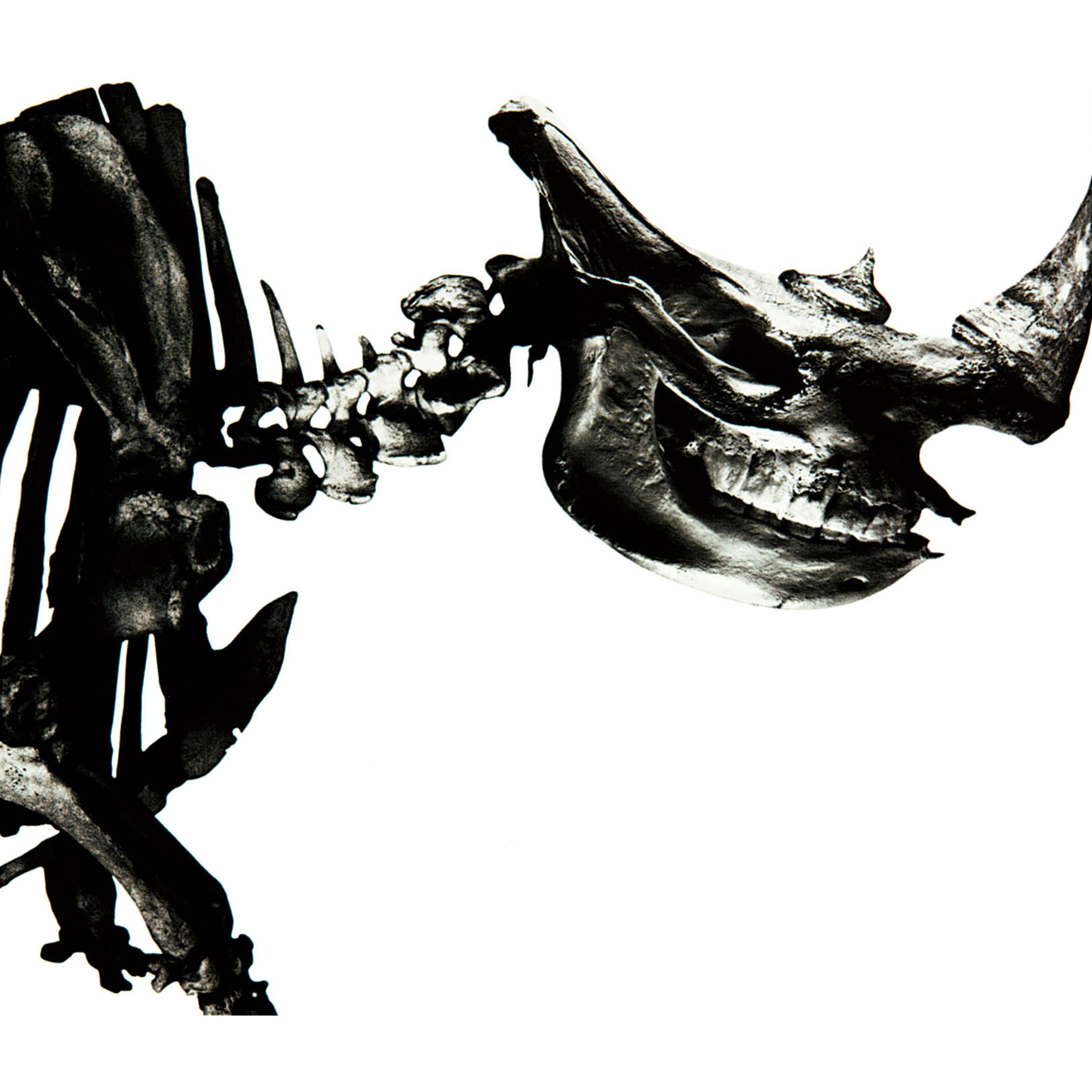 Mr.Children ·《Mr.Children 1996-2000》
