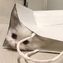 甜心积木屋