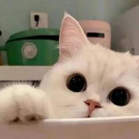 崽崽今天有点困资料,崽崽今天有点困最新歌曲,崽崽今天有点困MV视频,崽崽今天有点困音乐专辑,崽崽今天有点困好听的歌