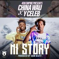Y Celeb - NI Story (feat. Wau China)