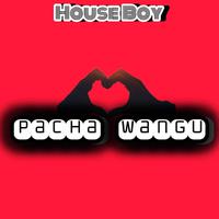 Pacha wangu