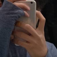 杨礼泽