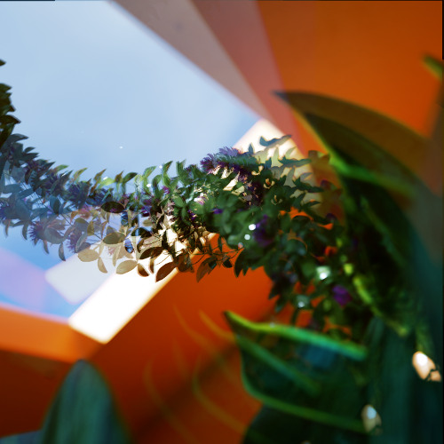 White Noise (STAR SEED Remix)