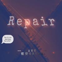 Repair