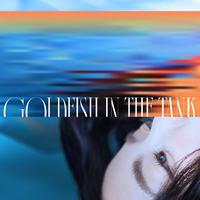 薛诒丹 - 差一点的我们 (feat. The Crane)