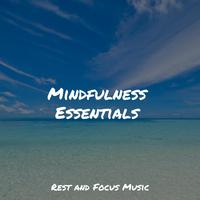 Mindfulness Essentials