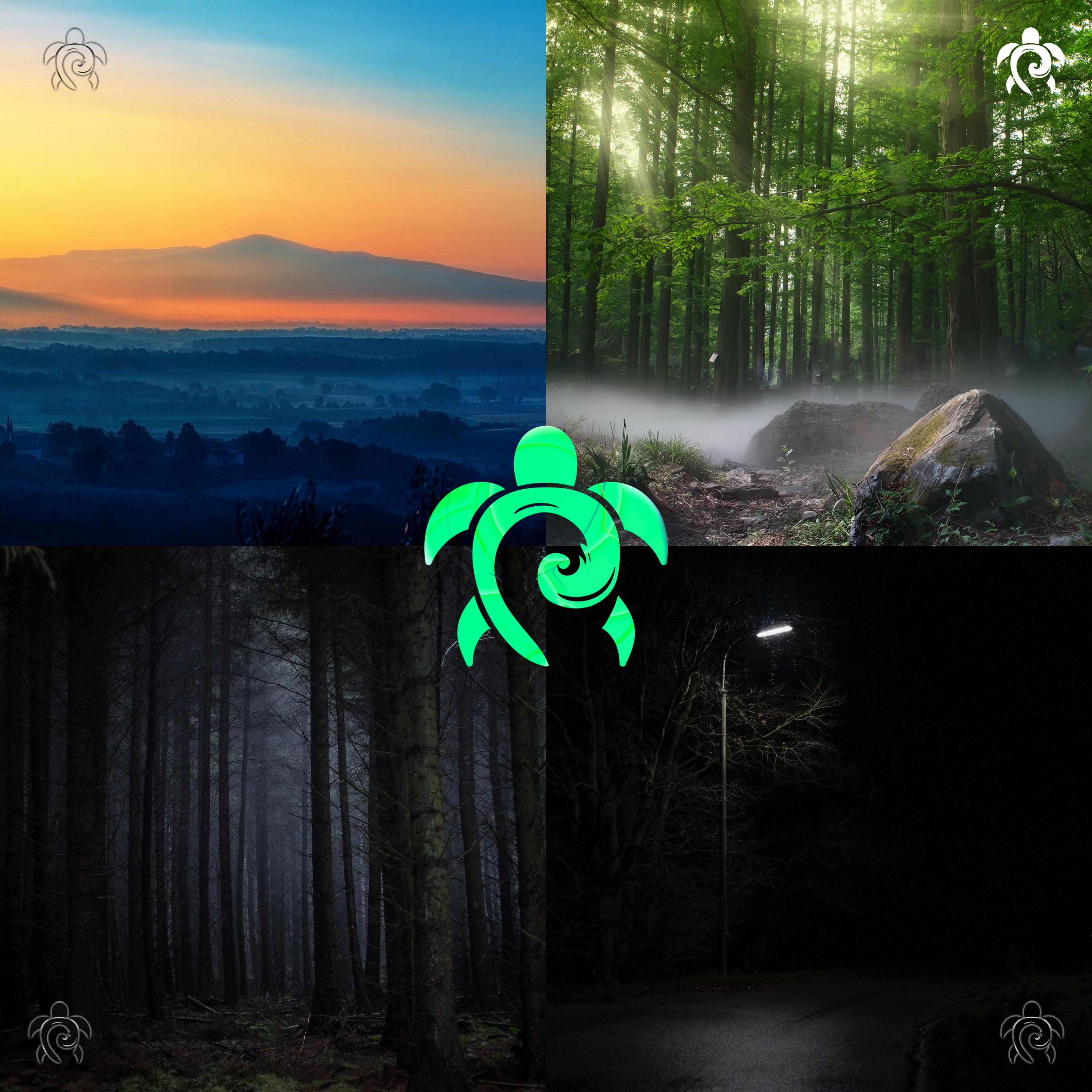 as sorrow settles in your heart