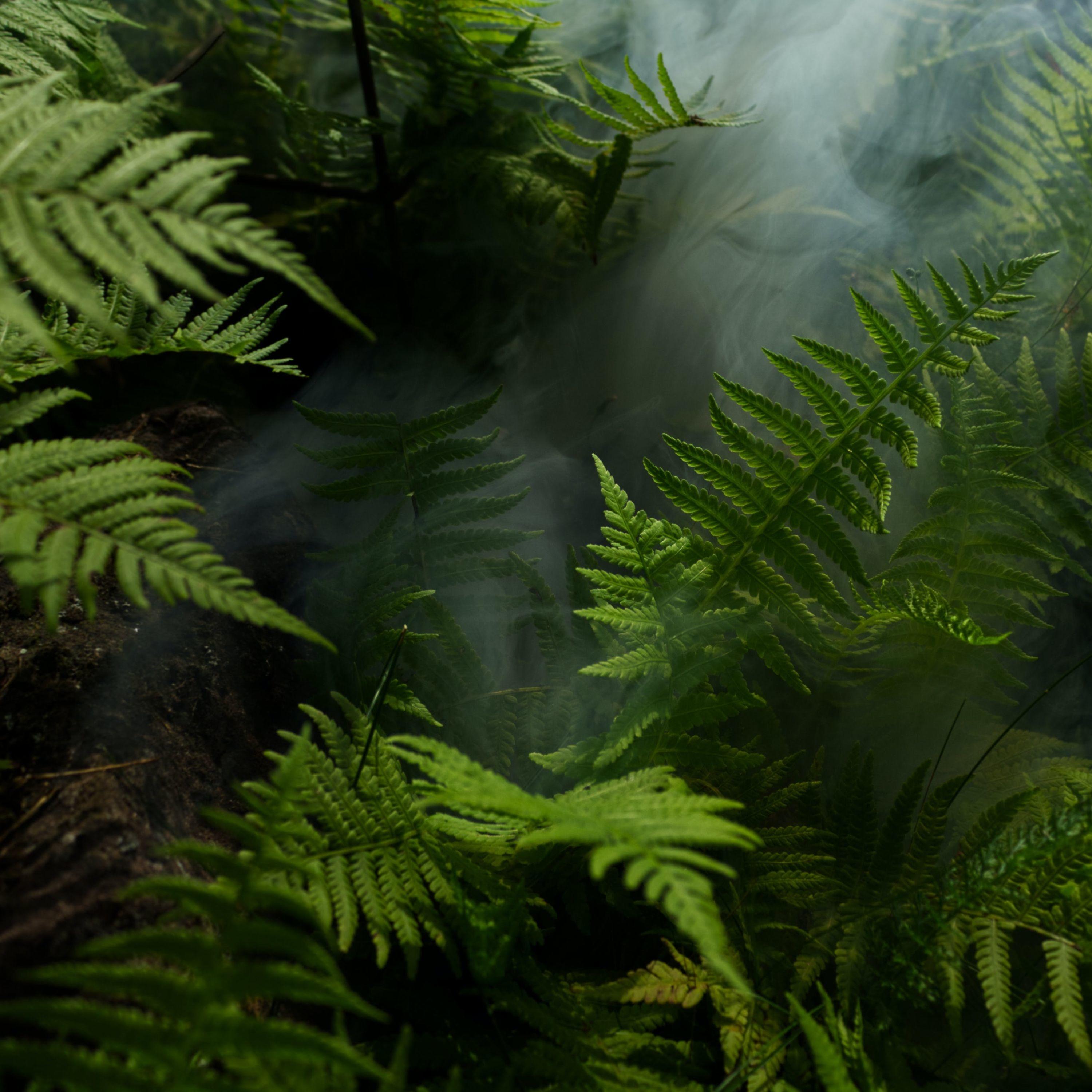 Las Estrellas De Arriba