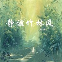静谧竹林风