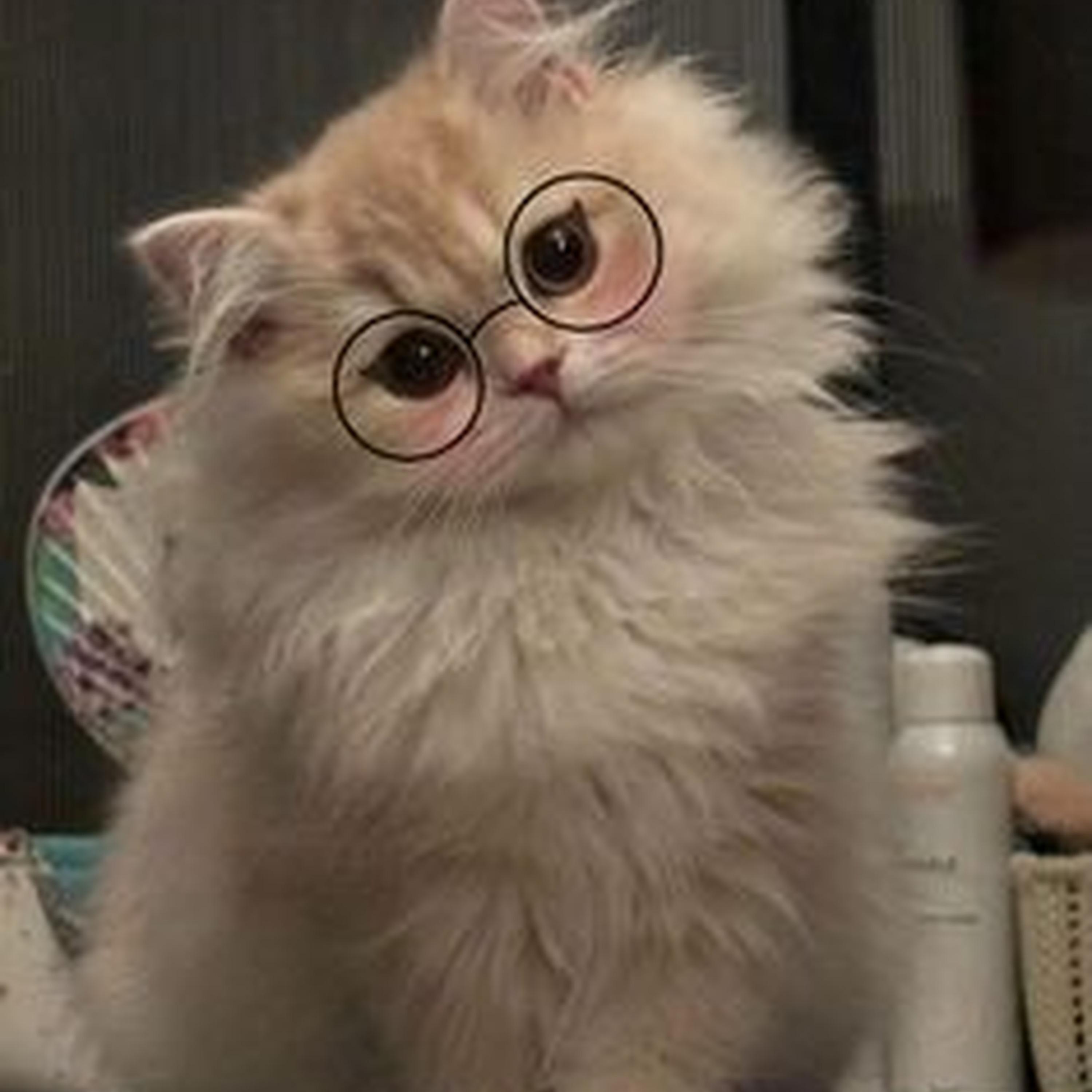 Hope Of Morning (Sped Up)