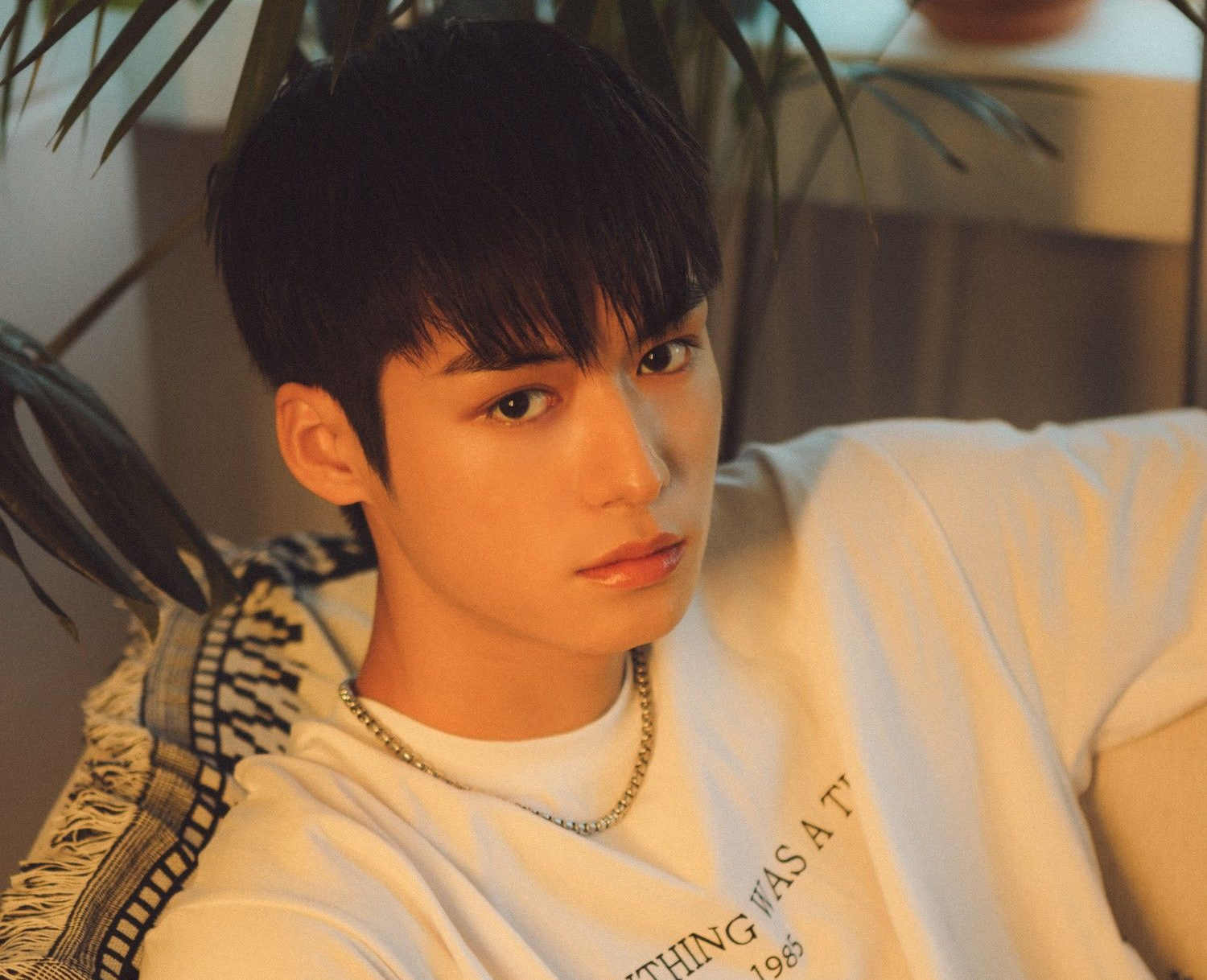 시우