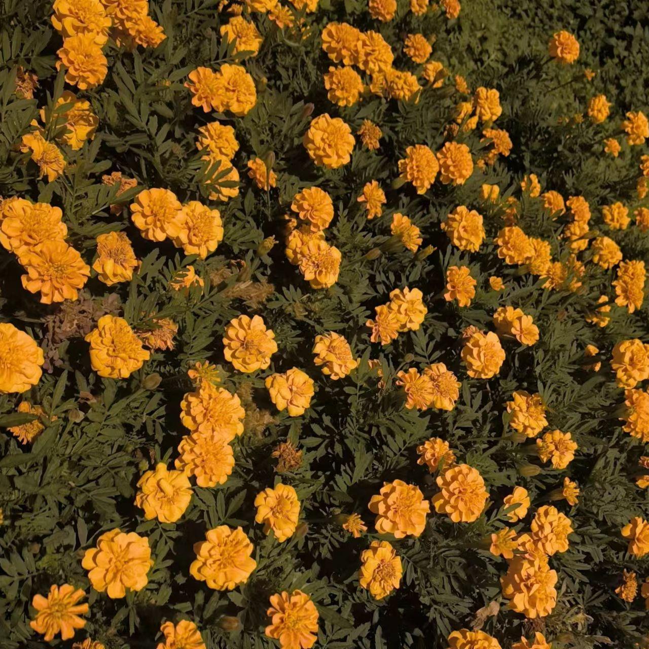 Cut 2 （Atlanta hiphop type beat）