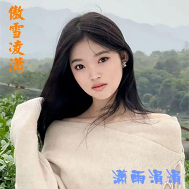 孤单的人总说无所谓封面