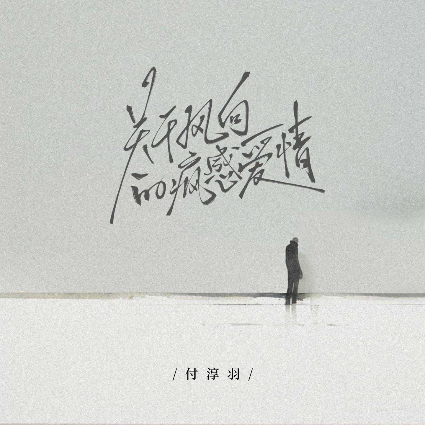 关于风向的疯感爱情(和声伴奏)封面