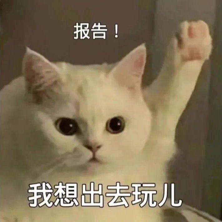 红日（轻快女声版）封面