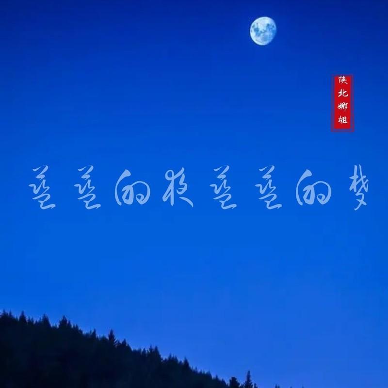 蓝蓝的夜蓝蓝的梦封面