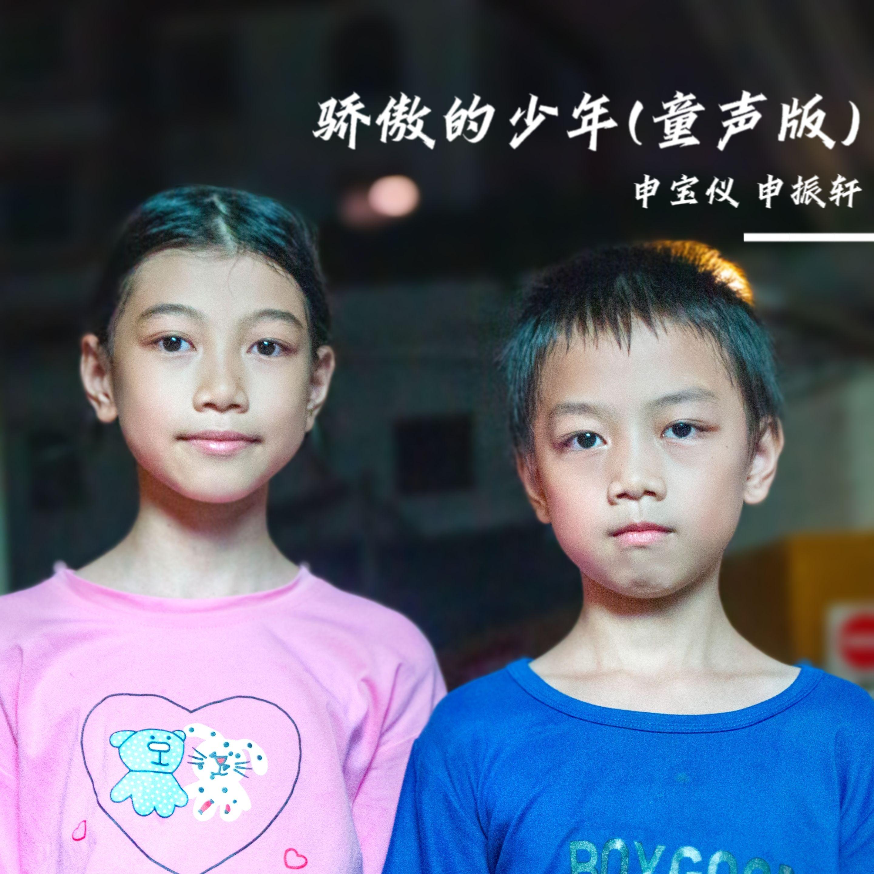 骄傲的少年(童声版)封面