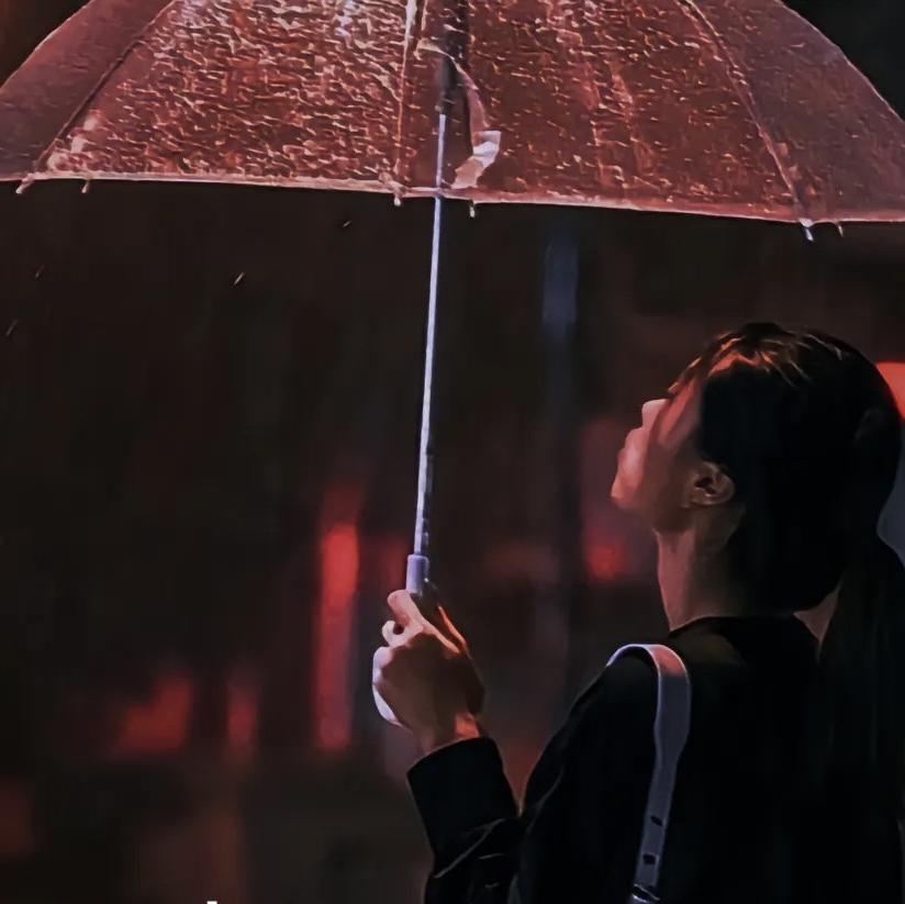 像我一样爱她封面