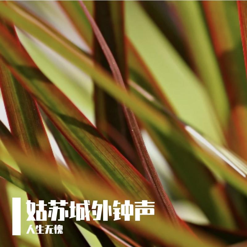长安落花时封面