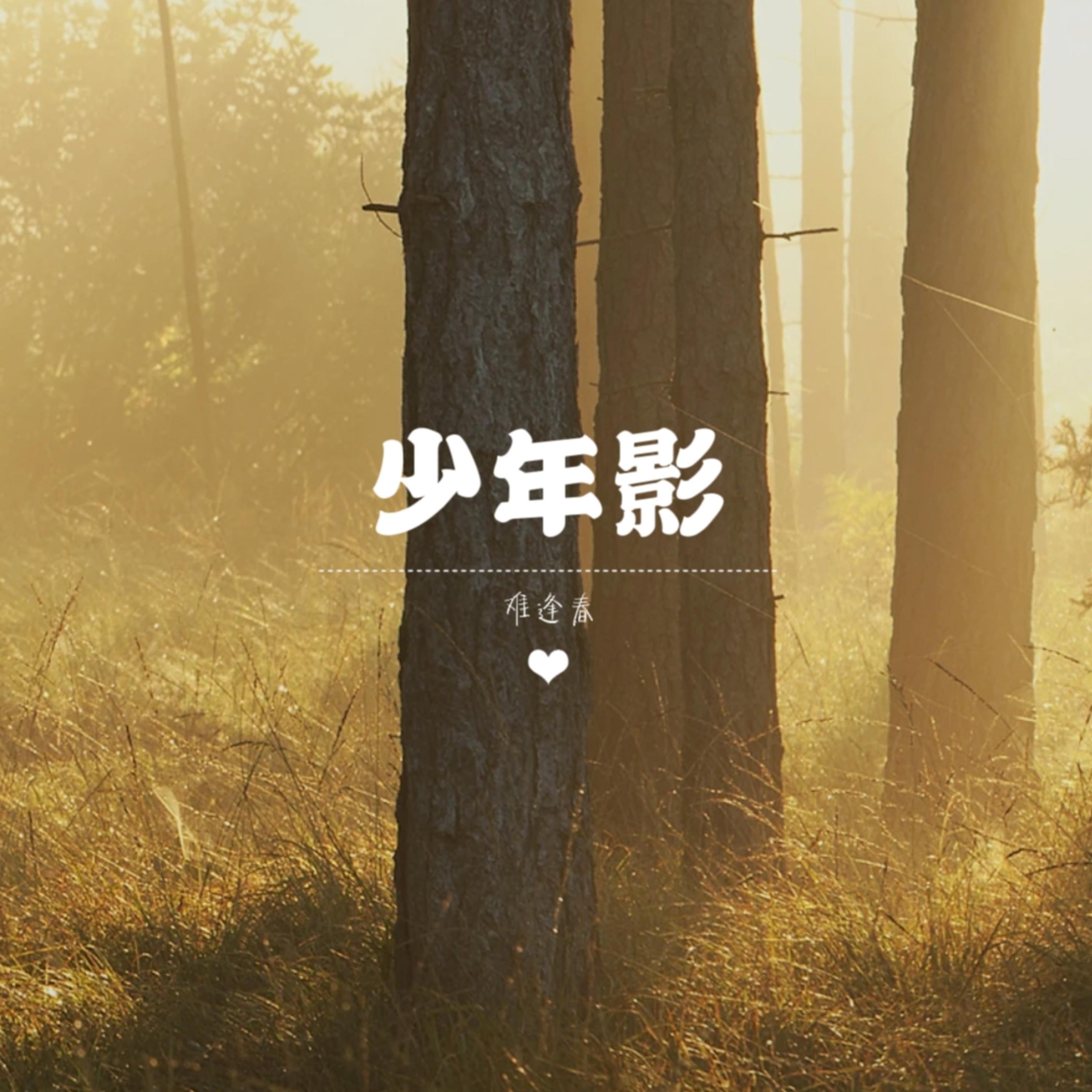 少年影封面