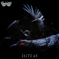 Crowsnest Elite #3