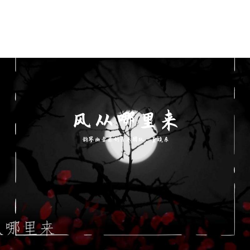 风从哪里来封面
