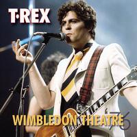 Wimbledon Theatre (Live)