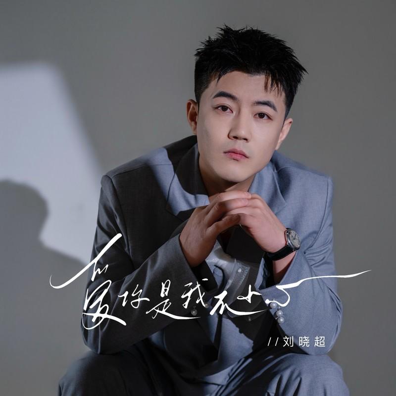 爱你是我不小心 (DJ豪大大版) - 刘晓超封面