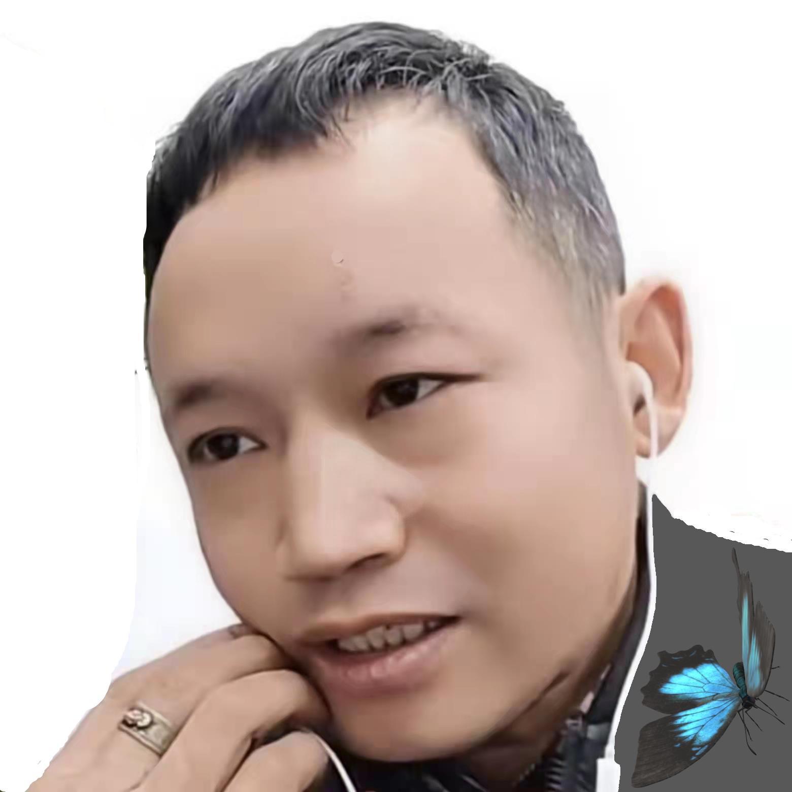 醉西楼封面