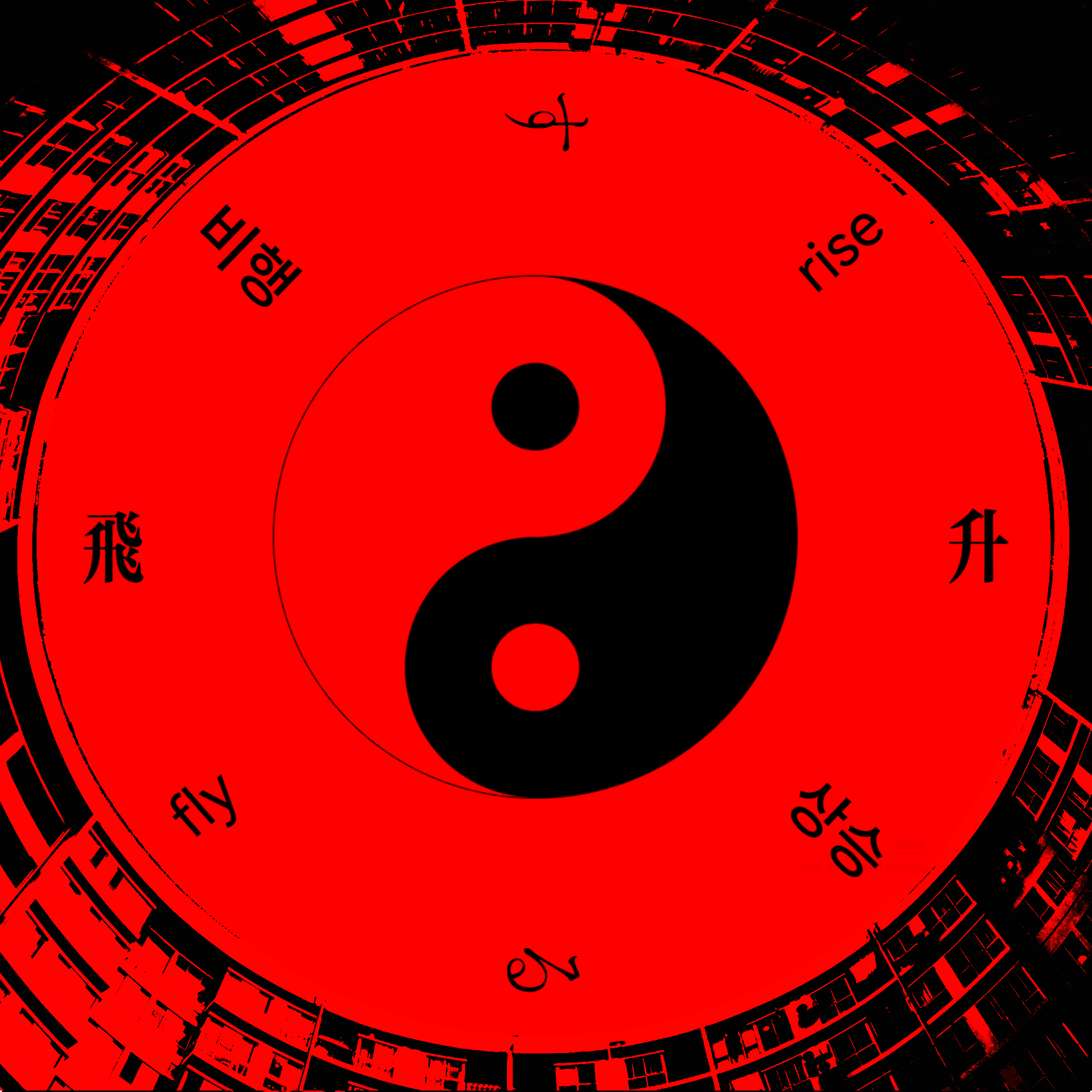 飞升(Flyrise)封面