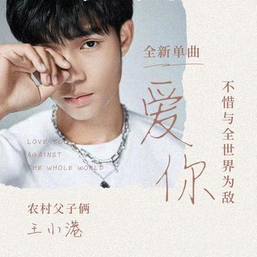爱你不惜与全世界为敌 (DJ版) - 王小港封面