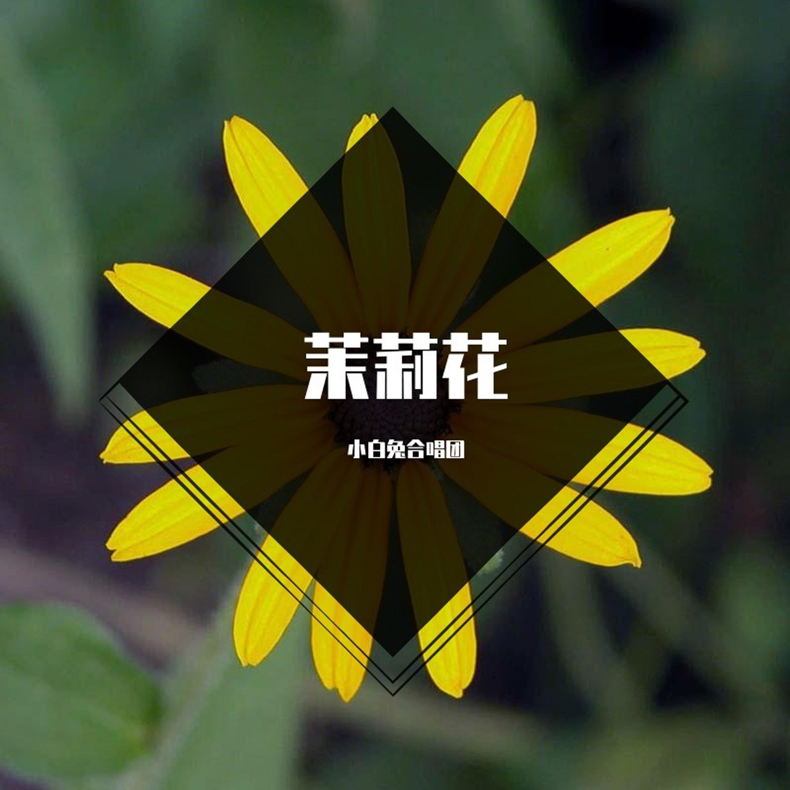落水天封面