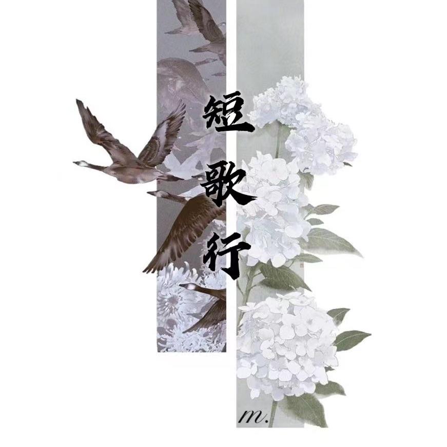 短歌行 伴奏封面