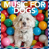 Music For Dogs - Calming Relaxation Sounds to Help Dogs and Puppies