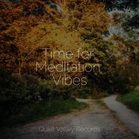 Time for Meditation Vibes