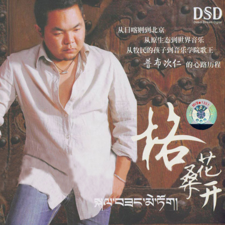 洁白的碗封面