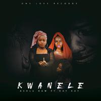 Kwanele (feat. Kay kay)