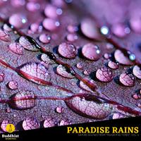 Paradise Rains - Nature Sounds from Thundering Forest, Vol. 5