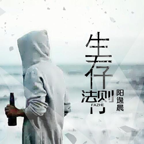 生存法则封面